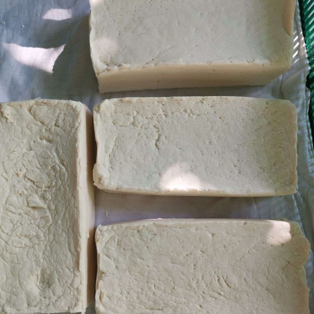 220465577_4644408618926191_5699624198898127359_n